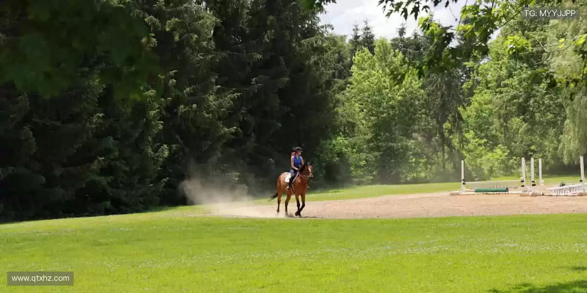 汗水与荣耀同在,见证冠军诞生的瞬间!⚽